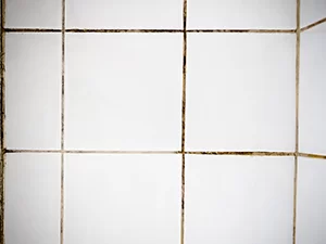 Dirty-Grout