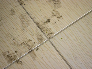 Bathroom Tiles